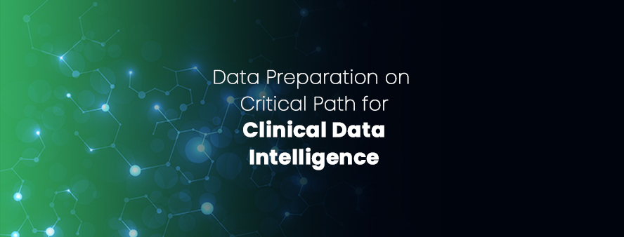 Data Preparation on Critical Path for Clinical Data Intelligence